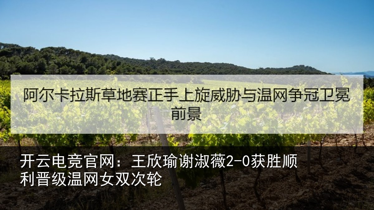 开云电竞官网：王欣相关情况相关情况