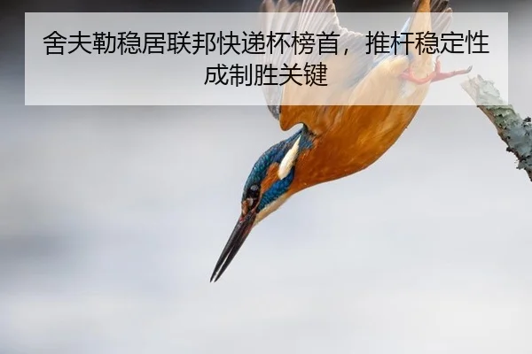 舍夫勒稳居联邦快递杯榜首，推杆稳定性成制胜关键